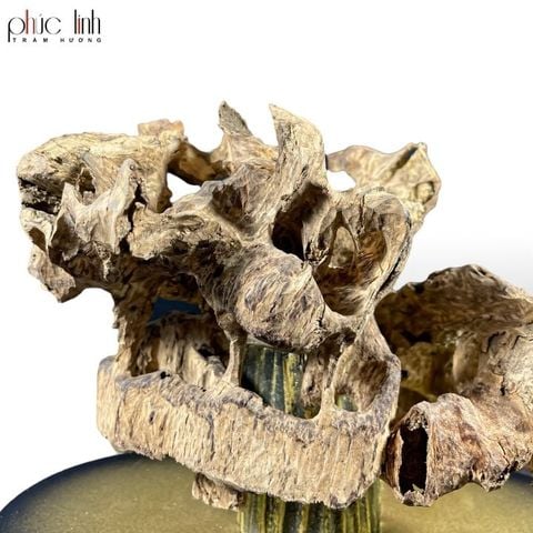 Cảnh Phúc Linh Việt Nam 1.6