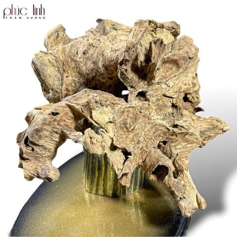 Cảnh Phúc Linh Việt Nam 1.6