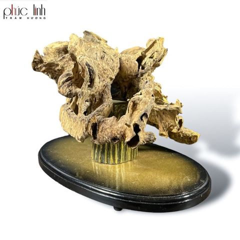 Cảnh Phúc Linh Việt Nam 1.6
