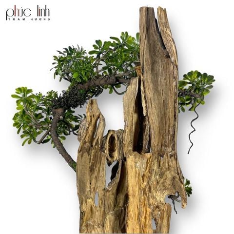 Thác Khói Cảnh Trầm Hương TC06 - MS15