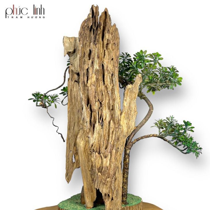 Thác Khói Cảnh Trầm Hương TC01 - MS16