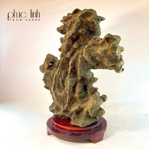 Cây Trầm Hương Cảnh Nấu Dầu