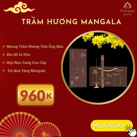 Quà Tặng Trầm Hương Cao Cấp - Combo Nhang Trầm Không Tăm