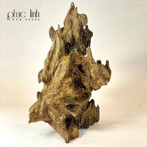 Trầm Cảnh Ép Dầu Phúc Linh
