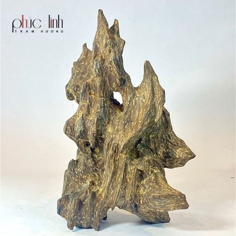 Trầm Cảnh Ép Dầu Phúc Linh
