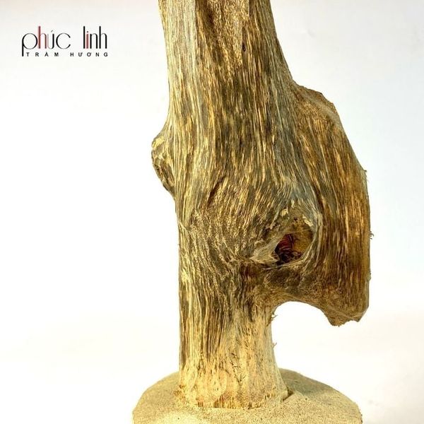 Trầm Cảnh Mini 2 Trầm Hương Cảnh
