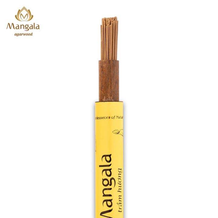 Nhang Trầm Không Tăm Cao Cấp MANGALA Ống Vàng - 20gr - 20cm