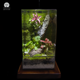 Terrarium Serenity Hill - Bể Đa Giác - Đồi Bình Yên