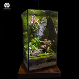 Terrarium Serenity Hill - Bể Đa Giác - Đồi Bình Yên