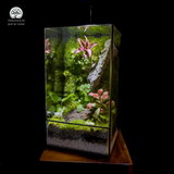 Terrarium Serenity Hill - Bể Đa Giác - Đồi Bình Yên