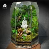 Terrafulness