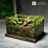 Terrafulness