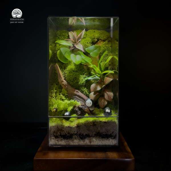 Bảng Tóm Tắt 3 Loại Terrarium Phổ Biến tại Terrafulness
