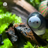Terrarium Forest Whisper - Bể Đa Giác - Lời Thì Thầm Trong Rừng