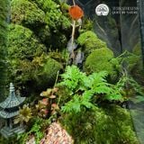 Terrafulness