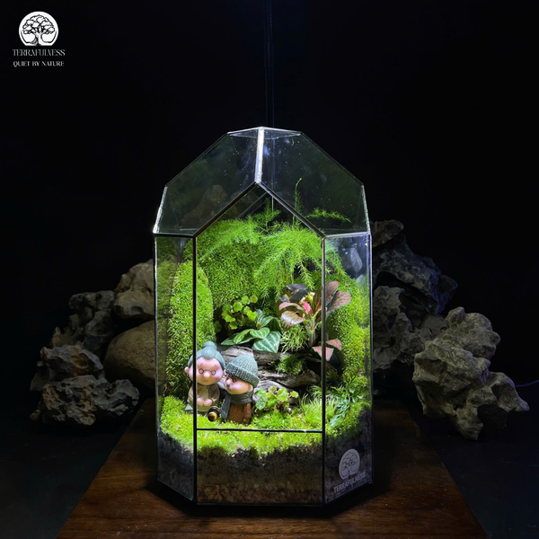Bước 5. Phun sương làm tươi môi trường – Hướng Dẫn Vệ Sinh Terrarium Đúng Cách Mà Không Làm Hỏng…
