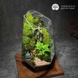 Terrafulness