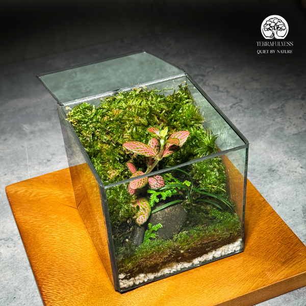 Gợi Ý Mẫu Terrarium Cho Sinh Nhật Bạn Gái