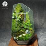 Terrafulness