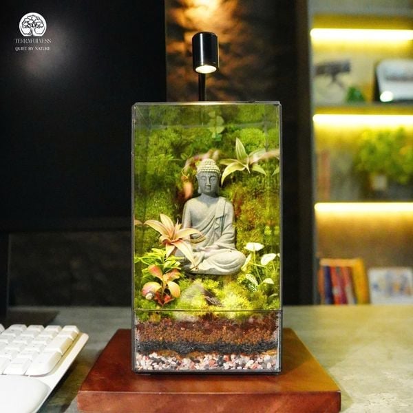 Nguyên Nhân Gây Úng – Cây Trong Terrarium Bị Héo, Úng
