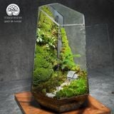 Terrafulness