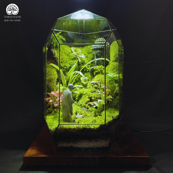 Vì Sao Ánh Sáng Cho Terrarium Lại Quan Trọng Đến Vậy