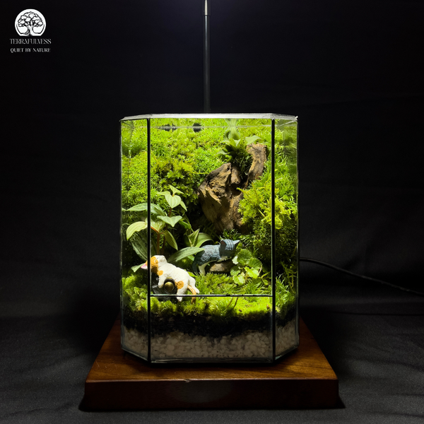 Phong thủy tốt – Khởi đầu hanh thông – Terrarium Cho Bàn Làm Việc Mới