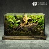 Terrafulness