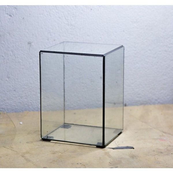 Bình đựng (Terrarium container)