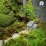 Terrafulness