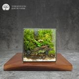 Terrafullness