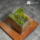 Terrafulness