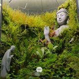 Terrafulness