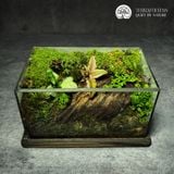Terrafulness
