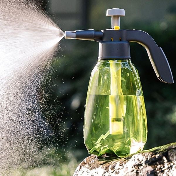Lượng nước vừa đủ – Hướng Dẫn Tưới Nước Cho Terrarium Đúng Cách Đừng Tưới Theo Cảm Tính