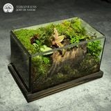 Terrafulness