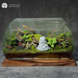 Zen Terrarium Phúc - Bể Đa Giác Nằm - Trang Trí Nội Thất