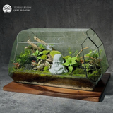 Zen Terrarium Phúc - Bể Đa Giác Nằm - Trang Trí Nội Thất