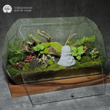 Zen Terrarium Phúc - Bể Đa Giác Nằm - Trang Trí Nội Thất
