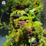 Terrafulness