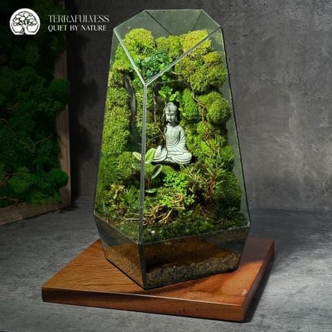 Terrarium Zen Phật Tĩnh Tâm - Bể Đa Giác - Size Trung - Trang Trí Không Gian An Lạc