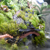 Terrarium
