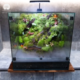 Terrarium