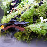 Terrarium