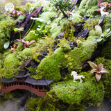Terrarium