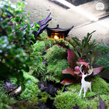 Terrarium
