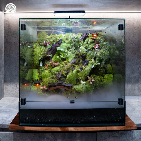 Terrarium Vân Sơn Cảnh - Bán Cạn - Thiên Nhiên Thu Nhỏ