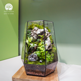Terrarium Hidden Rock Refuge - Bể Đa Giác - Quà Tặng Cao Cấp