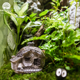 Terrarium Hidden Rock Refuge - Bể Đa Giác - Quà Tặng Cao Cấp