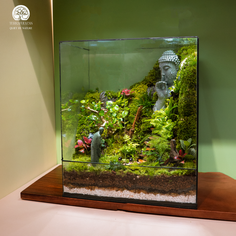 Zen Terrarium Imperium Garden - Bể Hộp Chủ Nhật - Decor Phòng Làm Việc